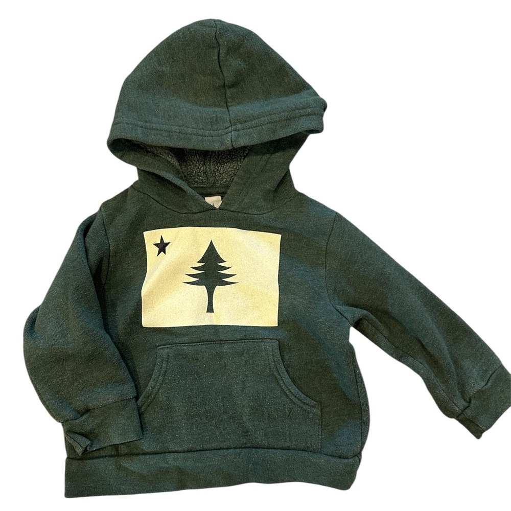 Bella Canvas Forest Green Kids Hoodie with Tree Graphic